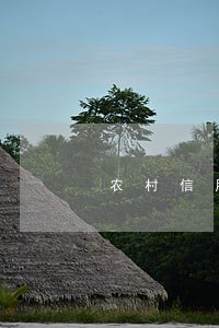 农村信用社利息逾期多久上征信 农村信用社利息逾期多久上征信