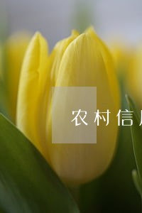 农村信用社利息逾期怎么办 农村信用社利息逾期怎么办