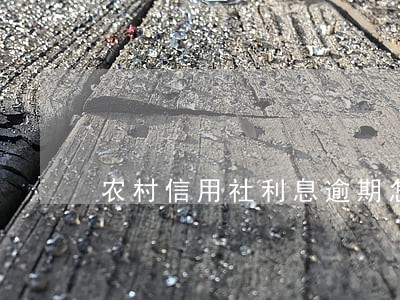 农村信用社利息逾期怎么办理