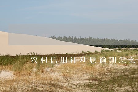 农村信用社利息逾期怎么还款方式 农村信用社利息逾期怎么还款方式