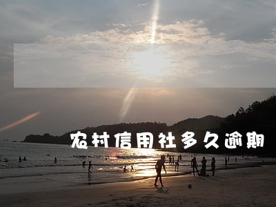 农村信用社多久逾期 农村信用社多久逾期