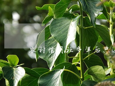 农村信用社多年后只还本金 农村信用社多年后只还本金