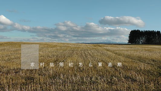农村信用社怎么算逾期 农村信用社怎么算逾期