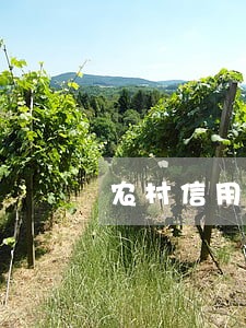 农村信用社惠农卡逾期两期