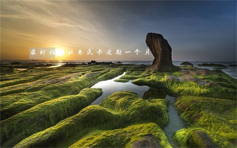农村信用社惠民卡逾期一个月 农村信用社惠民卡逾期一个月