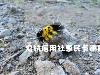 农村信用社惠民卡逾期担保人 农村信用社惠民卡逾期担保人
