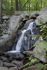 农村信用社房贷当天还算逾期吗 农村信用社房贷当天还算逾期吗