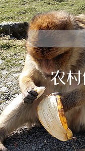 农村信用社房贷逾期一周 农村信用社房贷逾期一周
