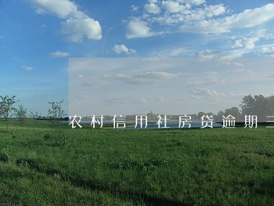 农村信用社房贷逾期三天 农村信用社房贷逾期三天