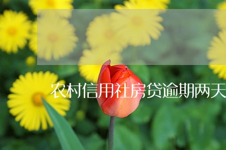 农村信用社房贷逾期两天 农村信用社房贷逾期两天