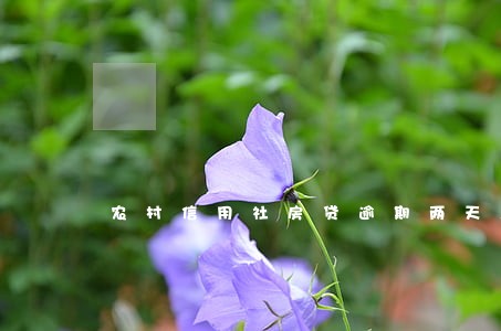 农村信用社房贷逾期两天怎么办 农村信用社房贷逾期两天怎么办