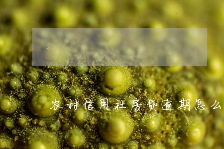 农村信用社房贷逾期怎么处理 农村信用社房贷逾期怎么处理
