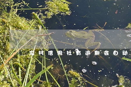 农村信用社有逾期会自动消除吗