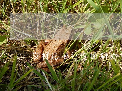 农村信用社有逾期办贷款 农村信用社有逾期办贷款