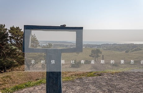 农村信用社有逾期的要怎么解决 农村信用社有逾期的要怎么解决