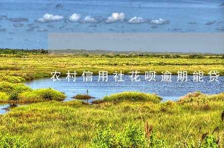 农村信用社花呗逾期能贷款吗 农村信用社花呗逾期能贷款吗