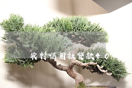 农村信用社贷款40万逾期 农村信用社贷款40万逾期