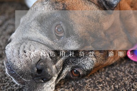 农村信用社贷款一逾期怎么办 农村信用社贷款一逾期怎么办