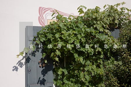 农村信用社贷款利息逾期16天 农村信用社贷款利息逾期16天