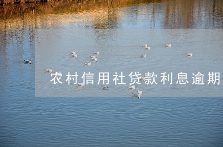 农村信用社贷款利息逾期1天 农村信用社贷款利息逾期1天