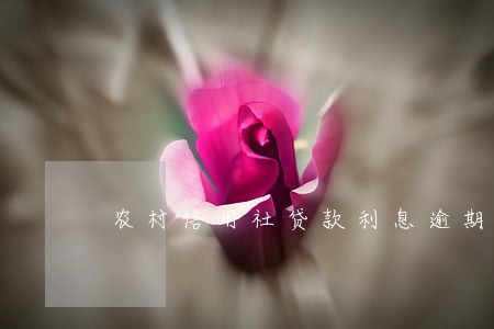 农村信用社贷款利息逾期没还 农村信用社贷款利息逾期没还