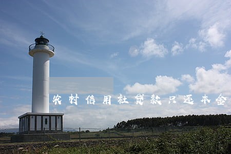 农村信用社贷款只还本金