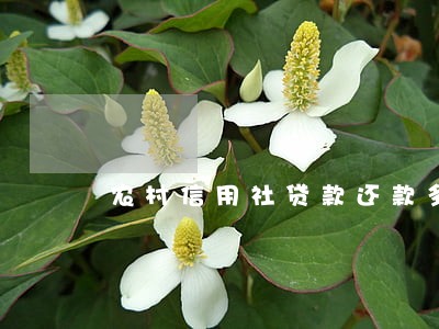 农村信用社贷款还款多久为逾期 农村信用社贷款还款多久为逾期