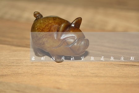 农村信用社贷款还款逾期6天 农村信用社贷款还款逾期6天