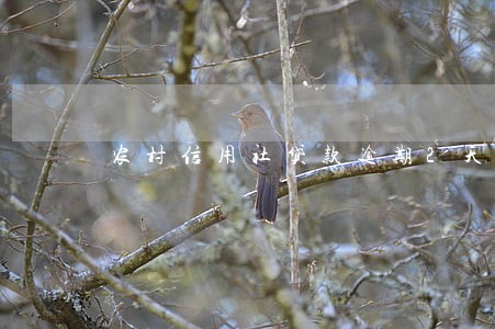 农村信用社贷款逾期2天