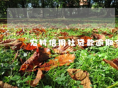 农村信用社贷款逾期3个月 农村信用社贷款逾期3个月