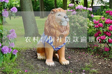 农村信用社贷款逾期6个月 农村信用社贷款逾期6个月