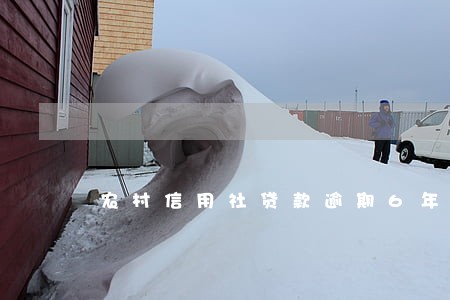 农村信用社贷款逾期6年 农村信用社贷款逾期6年