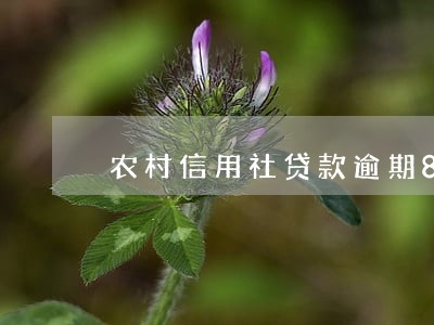 农村信用社贷款逾期8天 农村信用社贷款逾期8天