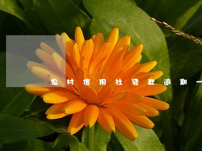 农村信用社贷款逾期一周