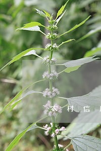 农村信用社贷款逾期五天
