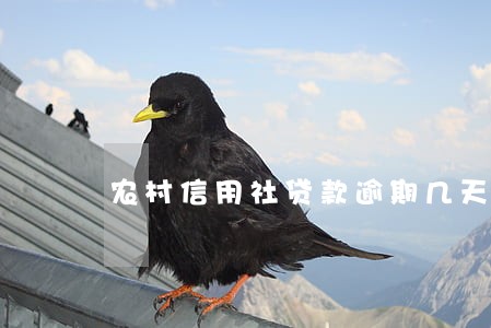 农村信用社贷款逾期几天上征信 农村信用社贷款逾期几天上征信