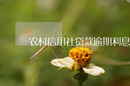 农村信用社贷款逾期利息 农村信用社贷款逾期利息