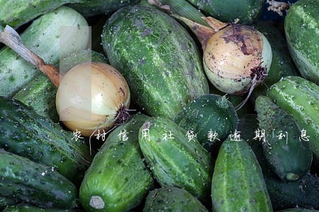 农村信用社贷款逾期利息怎么收 农村信用社贷款逾期利息怎么收