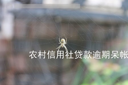 农村信用社贷款逾期呆帐 农村信用社贷款逾期呆帐