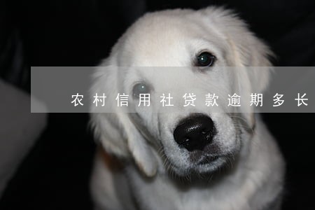农村信用社贷款逾期多长时间 农村信用社贷款逾期多长时间