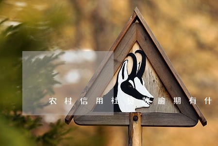农村信用社贷款逾期有什么后果