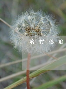 农村信用社贷款逾期被拉黑 农村信用社贷款逾期被拉黑
