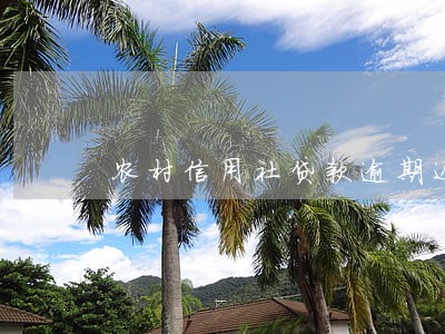 农村信用社贷款逾期还款怎么办 农村信用社贷款逾期还款怎么办