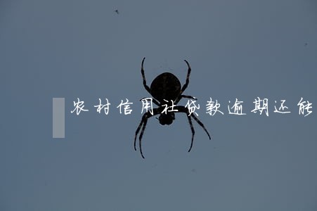 农村信用社贷款逾期还能用吗 农村信用社贷款逾期还能用吗