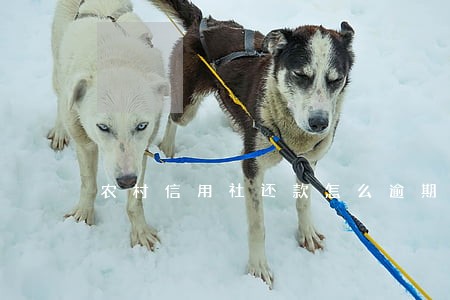 农村信用社还款怎么逾期 农村信用社还款怎么逾期
