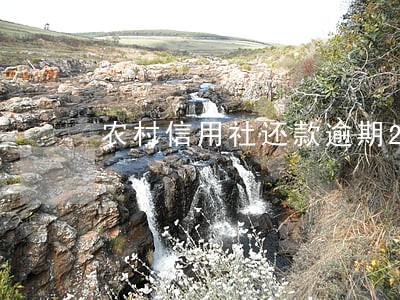 农村信用社还款逾期2天会怎么样