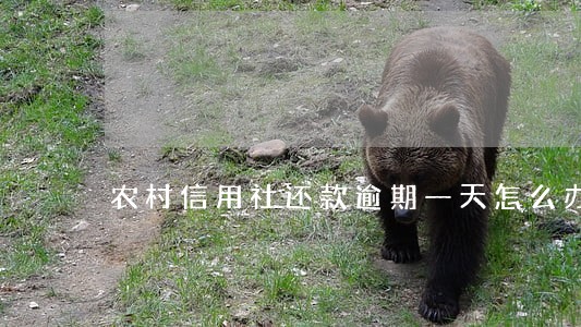 农村信用社还款逾期一天怎么办 农村信用社还款逾期一天怎么办