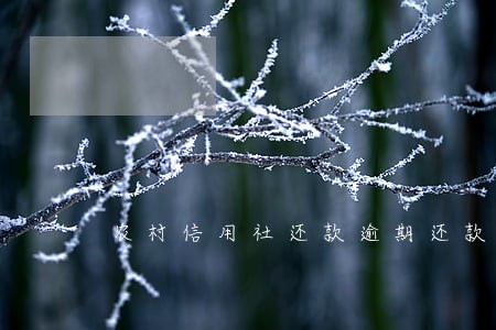 农村信用社还款逾期还款信用度 农村信用社还款逾期还款信用度