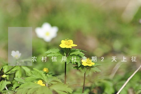 农村信用社逾期2天上征信吗 农村信用社逾期2天上征信吗
