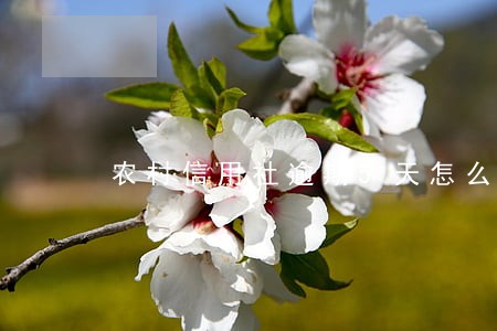 农村信用社逾期5天怎么办 农村信用社逾期5天怎么办